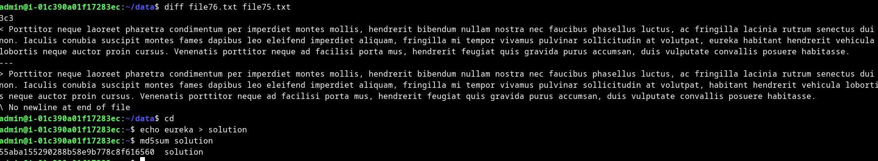 final commands