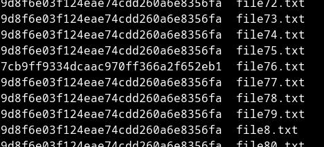 md5sum files