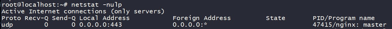 netstat udp