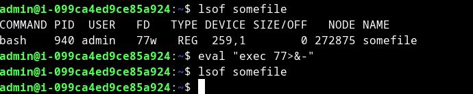 close file descriptor