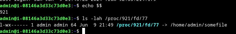 close file descriptor