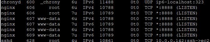 nginx using port 8888
